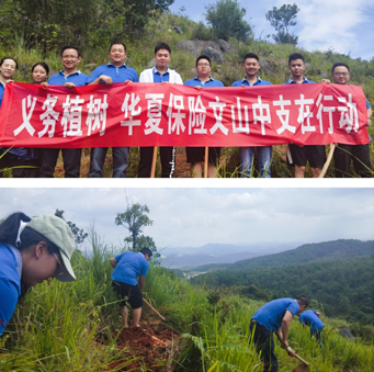 華夏保險(xiǎn)文山中支積極開展義務(wù)植樹活動(dòng)