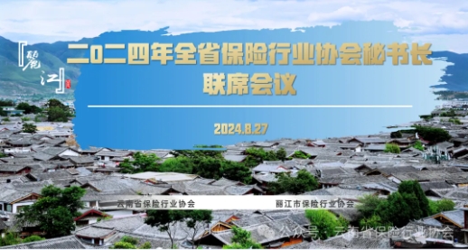 2024年全省保險行業(yè)協(xié)會秘書長聯(lián)席會議在麗江順利召開